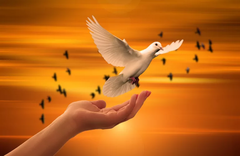 Message pour la paix du 1er janvier